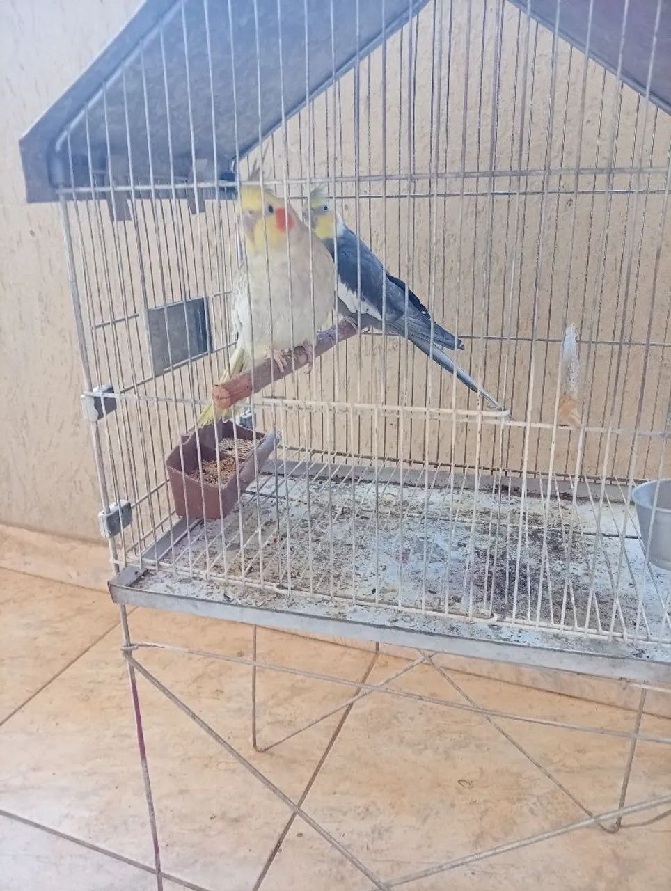 Vendo gaiola pra calopsita  - Foto 3