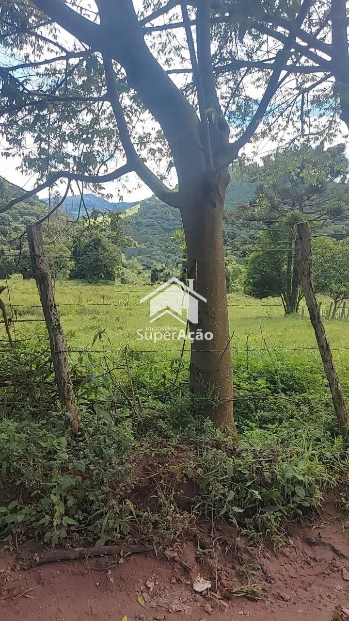 ÁREA RURAL COM 49.000 m² EM CAMANDUCAIA/MG. - Foto 2