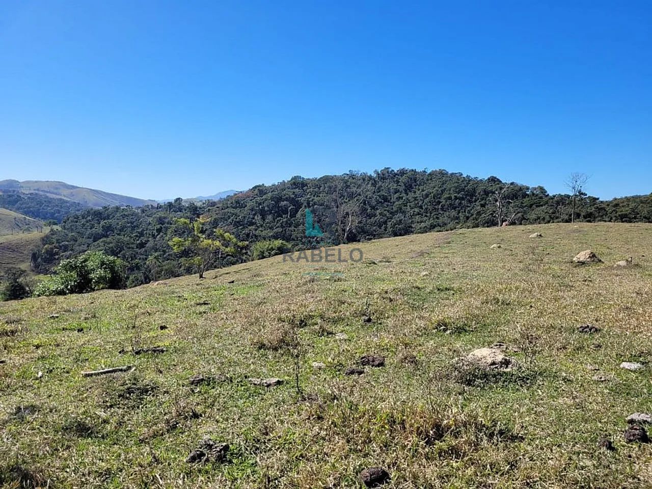 SÍTIO FORMADO COM ESTRUTURA PARA LEITE OU CORTE EM LORENA-SP - Foto 4