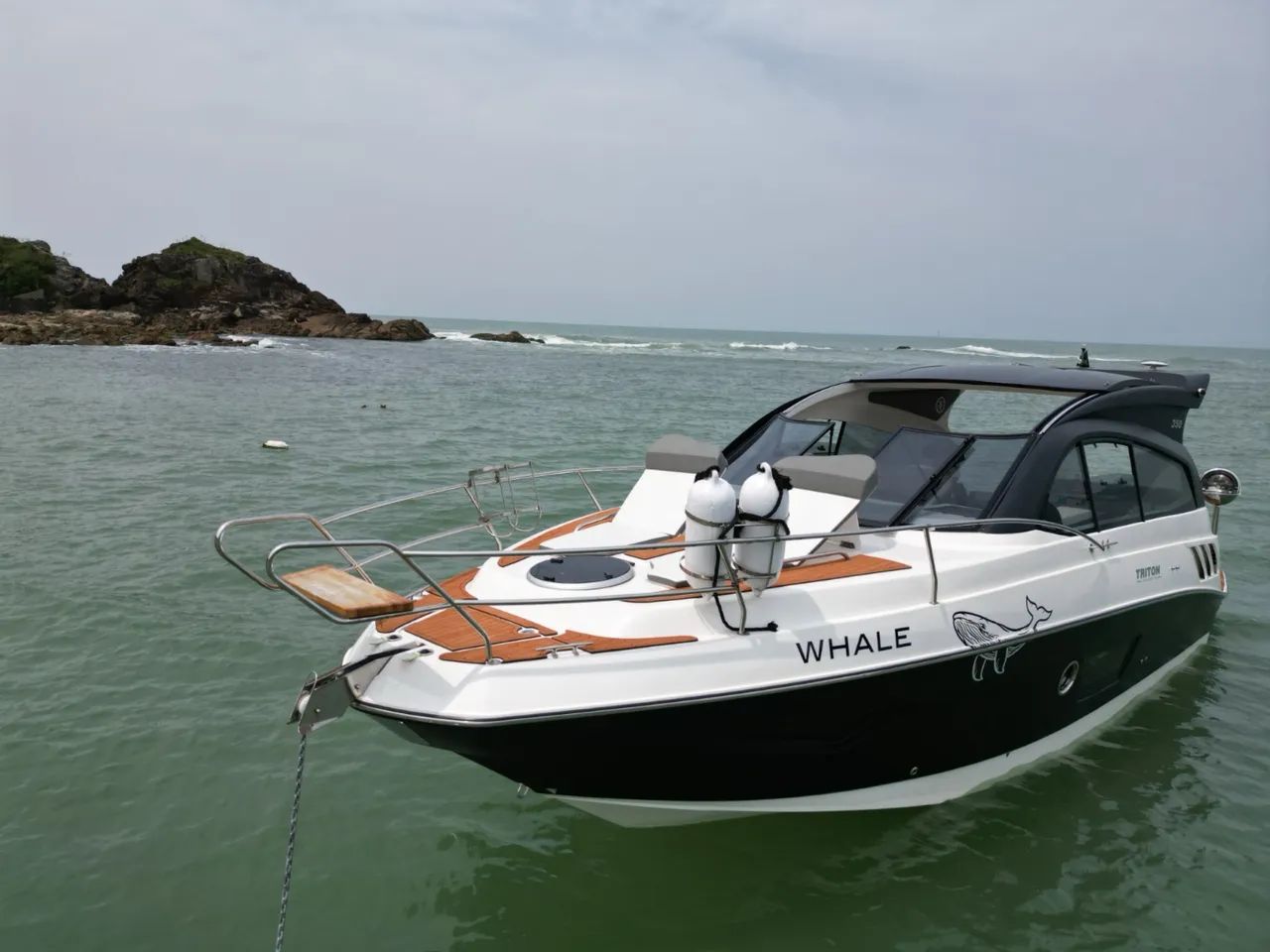 Triton 350 HT - 2022 x2 Mercruiser 250 HP ñ Focker Phantom Sessa Real Sedna Fs Focker  - Foto 4