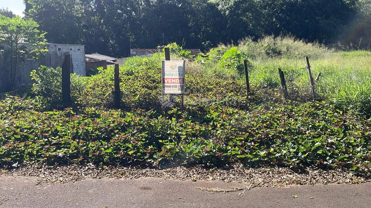 TERRENO À VENDA NO RESIDENCIAL PARQUE DA RAPOSA EM APUCARANA. - Foto 2