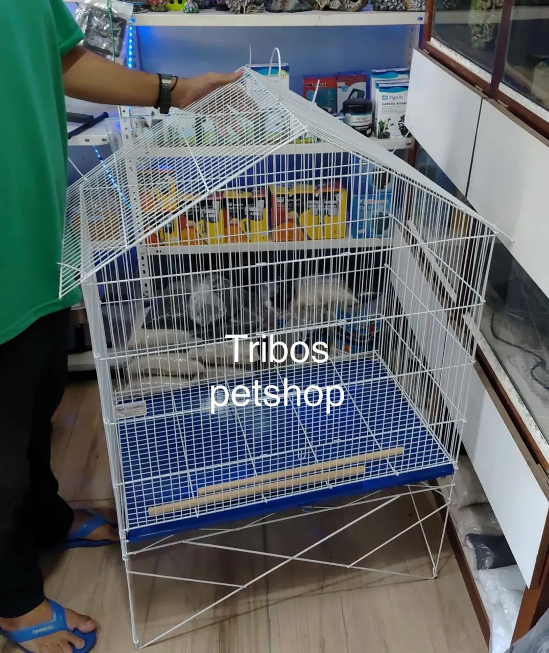 Viveiro grande promoção 