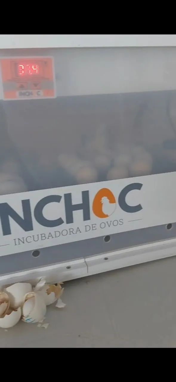 Chocadeira 