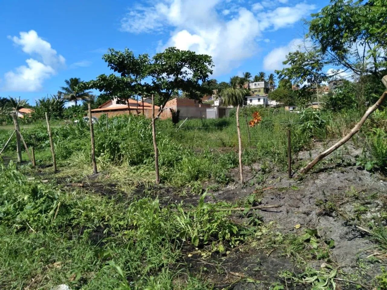 Terreno em Jaua 12x30 - Foto 2