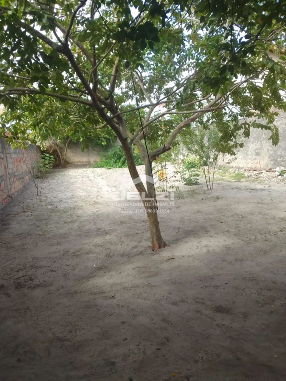 Centro: Terreno em Alagoinhas. 559m2. OPORTUNIDADE! - Foto 4
