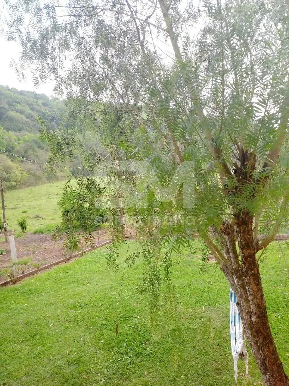 Área de terra - Chácara á venda, Chapecó, SC - Foto 4
