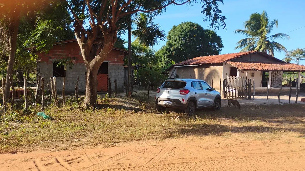 Vendo terreno com 100mx200m  - Foto 3