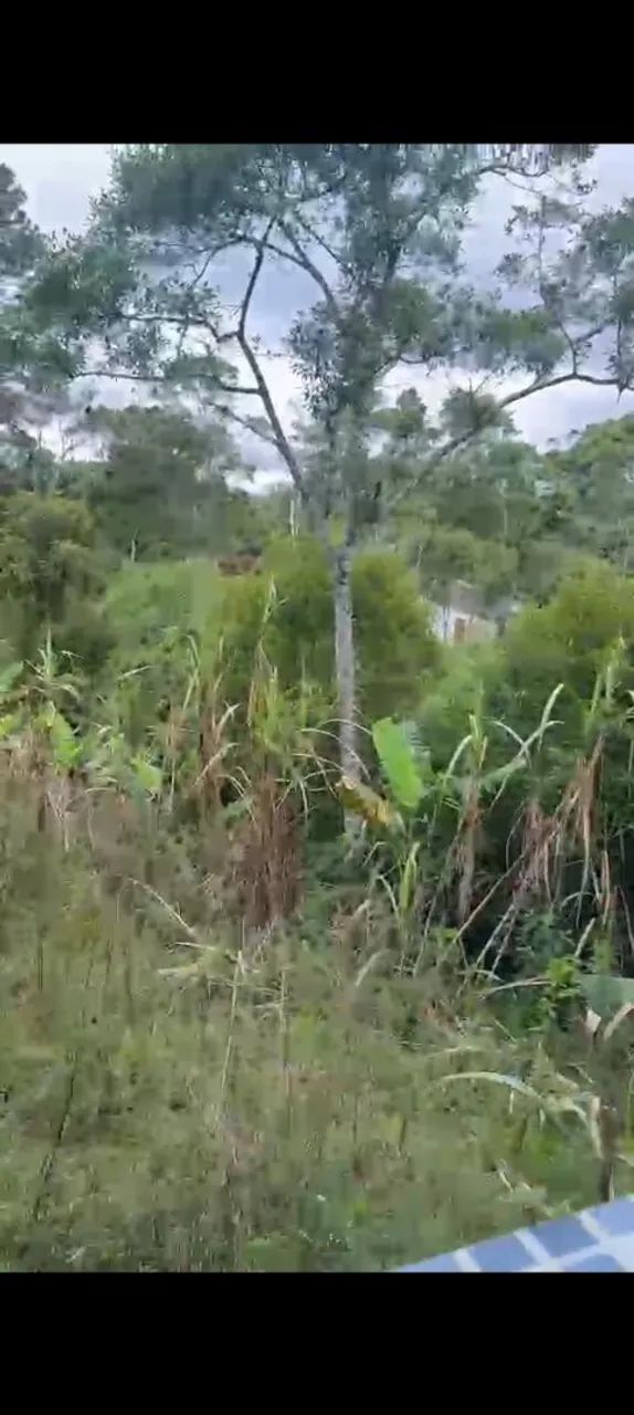 Oportunidade Chácara c/ Casa e riacho - Foto 5