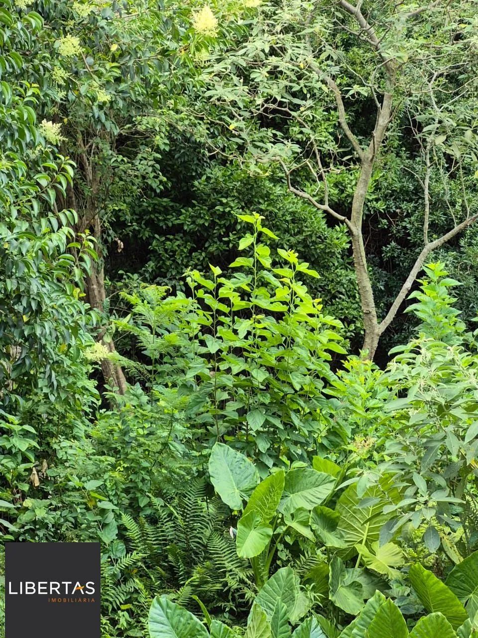 EXCELENTE OPORTUNIDADE DE TERRENO  LOCALIZAÇÃO ESTRATÉGICA! - Foto 7