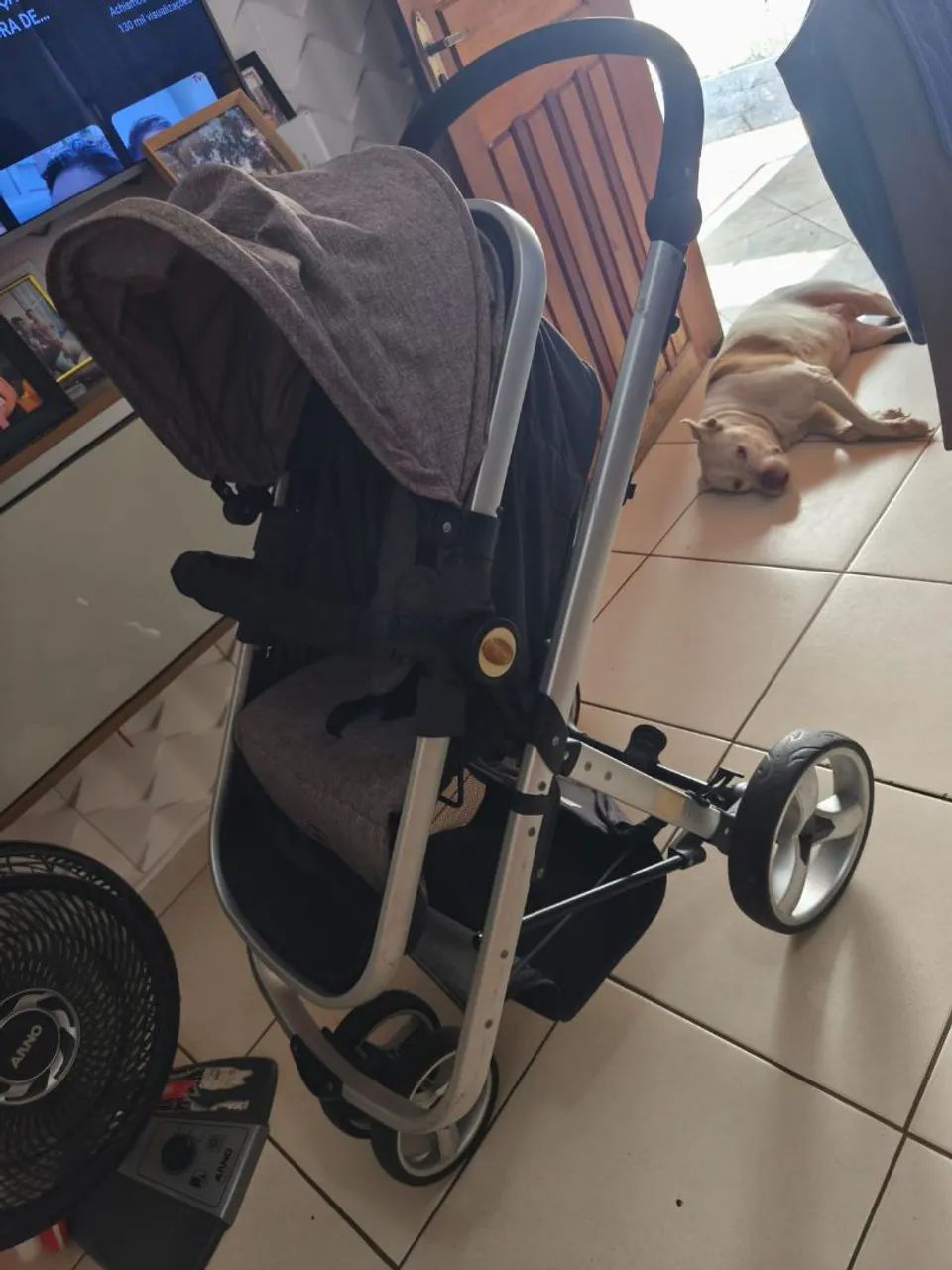 Carrinho de bebê Moisés com Bebê conforto 