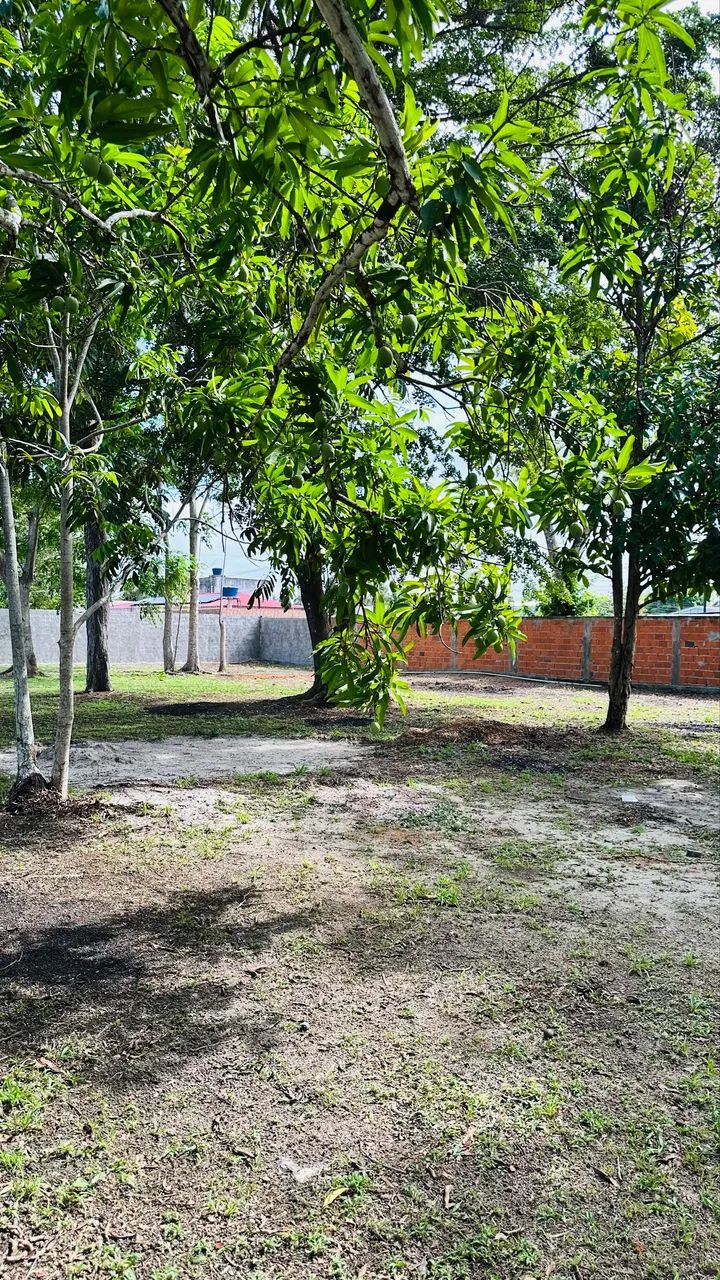 Chácara Encanto da Ilha - Foto 5