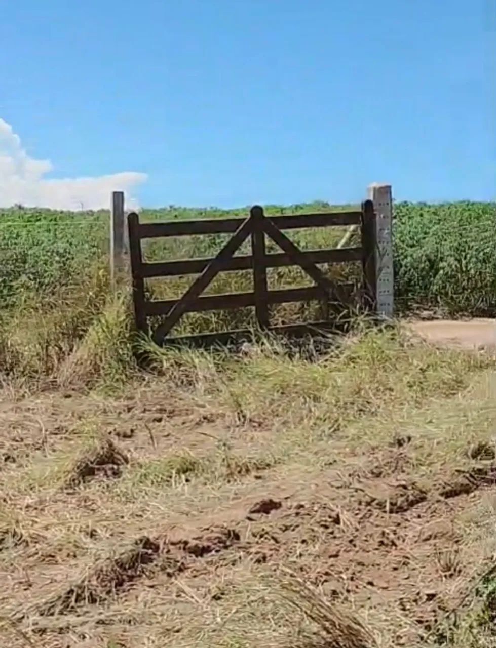 Foto - São Francisco de Itabapoana - 