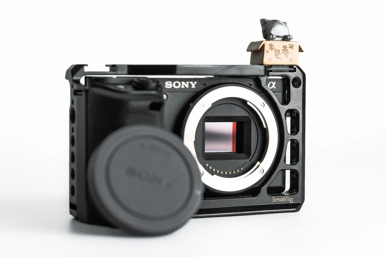 Sony a6400 + cage