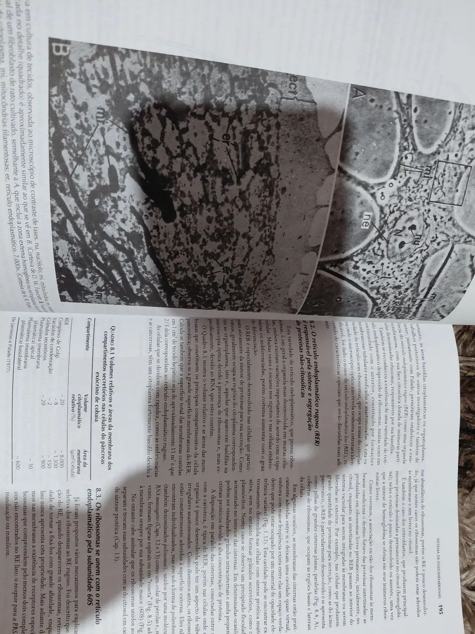 Livro de Biologia molecular e celular  - Foto 3