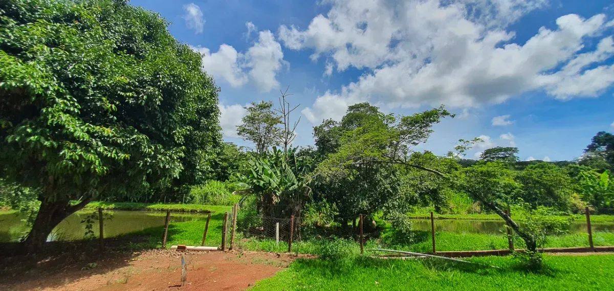 Chácara Próxima a Nerópolis com Represas, Córrego e 47.300m² - Foto 4