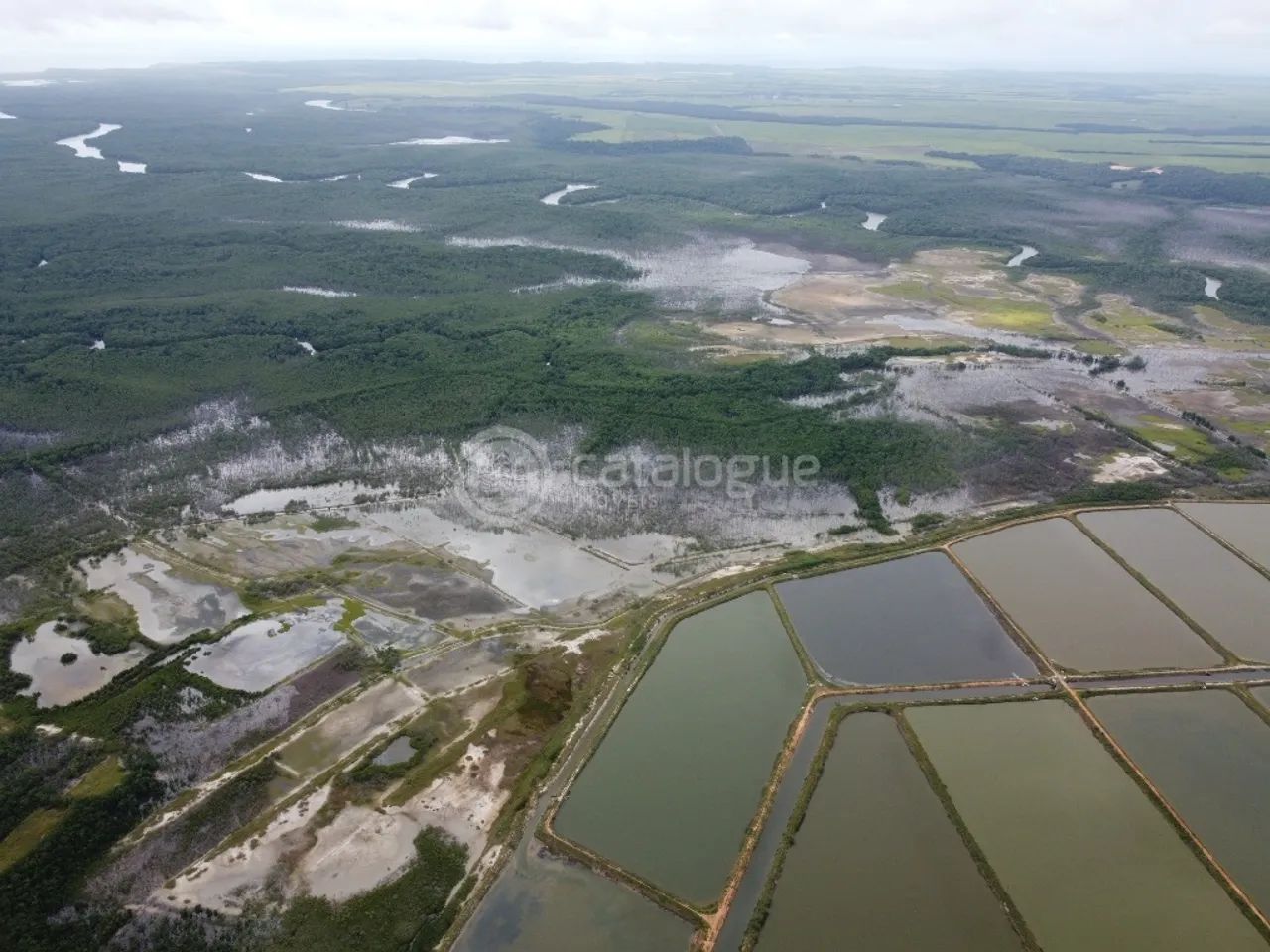 Canguaretama 500 Hectares