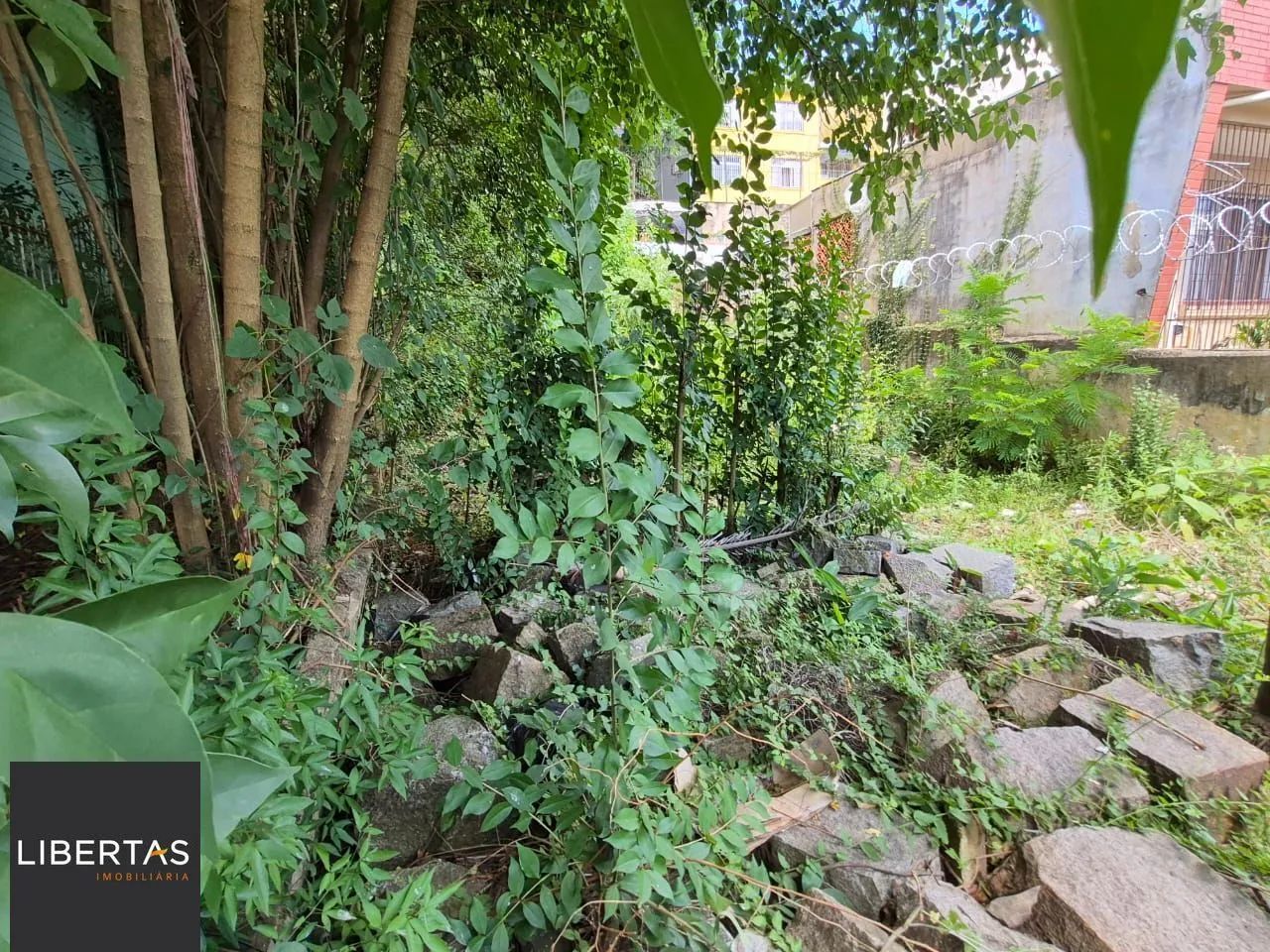 EXCELENTE OPORTUNIDADE DE TERRENO  LOCALIZAÇÃO ESTRATÉGICA! - Foto 6