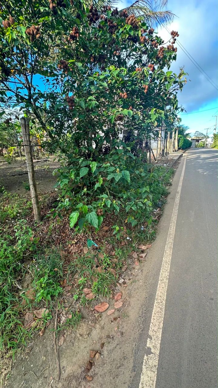 Terreno a venda - Povoado Bomfim