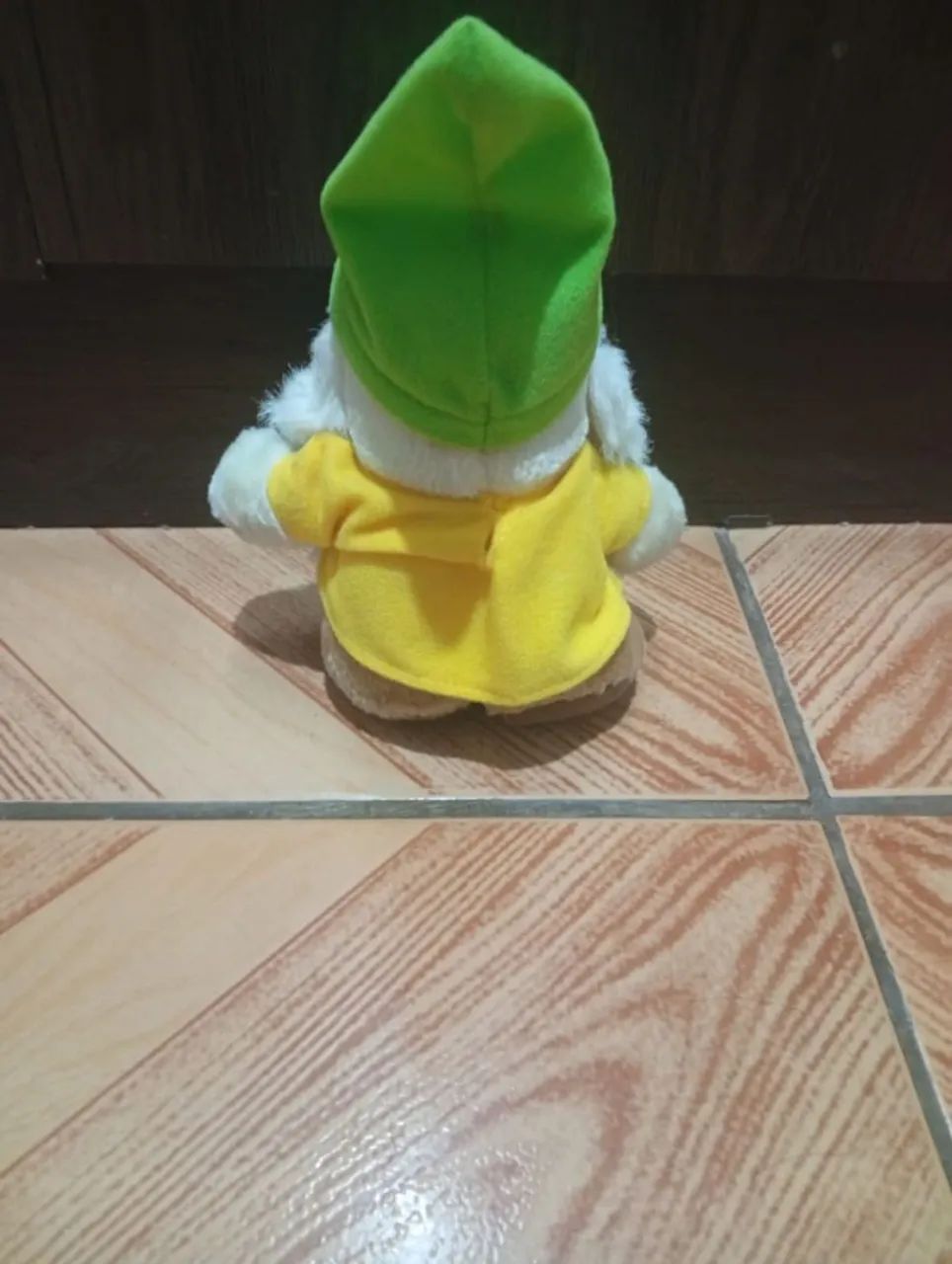 Anões  - Foto 2