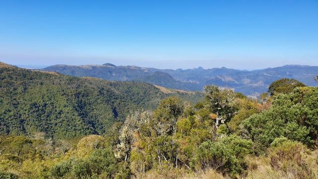 Sitio em Urubici/chácara em Urubici/área rural - Foto 6