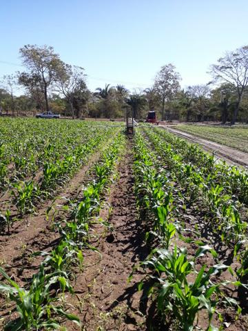 Vendo Sítio com 10.7 Hectares - Foto 3