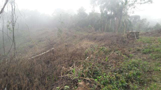 Terreno para fazer arado (mecanizar) - Foto 8