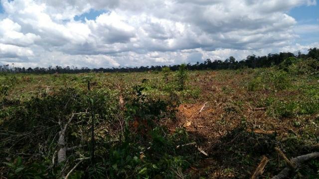 Fazenda em Marcelândia - Foto 12