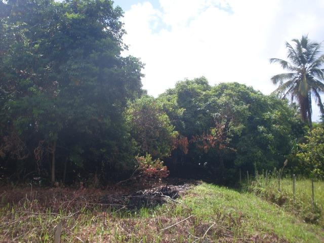 Terreno na Rodovia / Ilhéus/Itacaré - Km 25 Loteamento Luzimares Quadra 04 - Lote 32 - Foto 8
