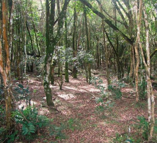Chácara Fazenda Rio Grande