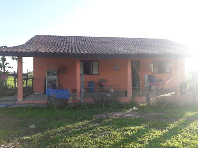 Fazenda - Conchas São Paulo - Foto 6