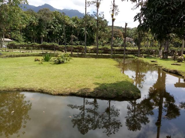Chácara - América de Cima - Morretes - Foto 19