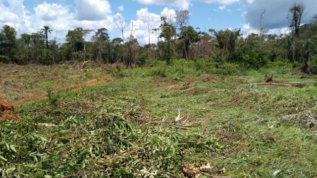 Fazenda em Marcelândia - Foto 11
