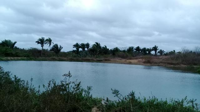 Vende-se Fazenda (abaixo o preço p vender logo) - Foto 10