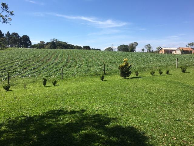 Chacara - São José dos Pinhais