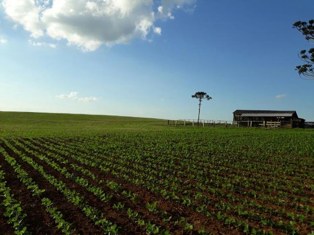 Fazenda /Lapa - Foto 3