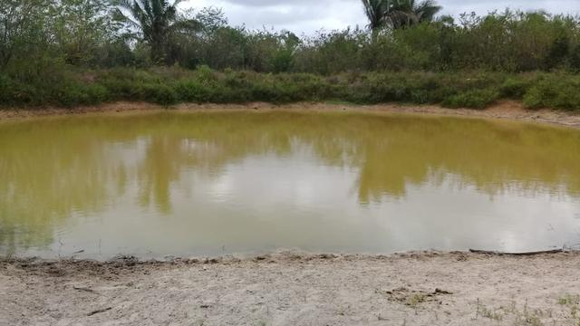 Vende-se Fazenda (abaixo o preço p vender logo) - Foto 12