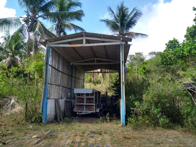 Vendo fazenda com 125 tarefas em Pojuca - Ba - Foto 15