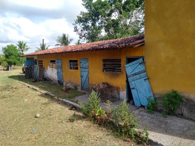 Vendo fazenda com 125 tarefas em Pojuca - Ba - Foto 10