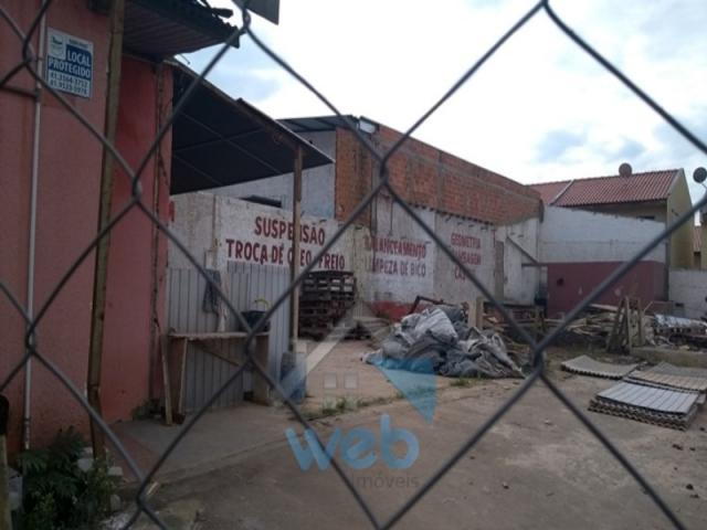 terreno, tatuquara - Foto 2