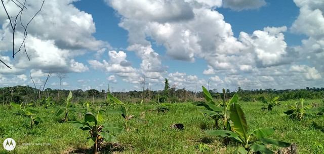 Linda área de terra