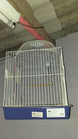 Gaiola
