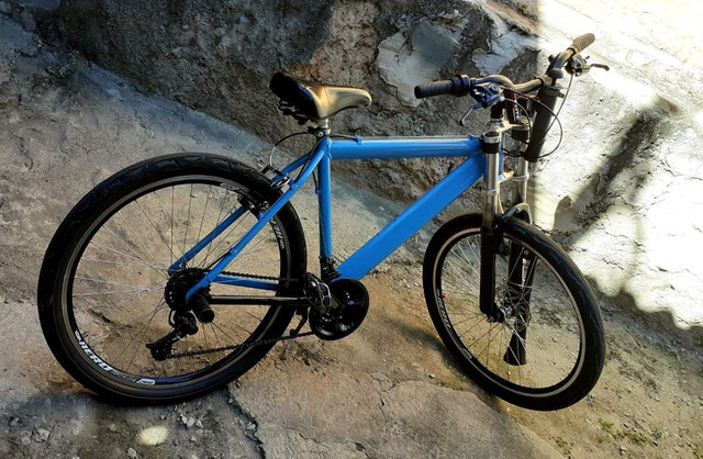 Biki