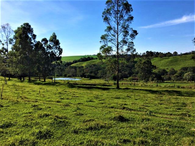 Sítio em Céu Azul - Foto 11