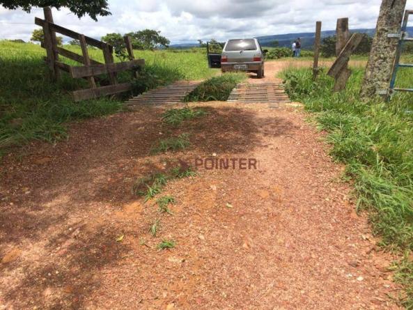 Fazenda com 4 dormitórios à venda, 310 alqueirão cidade de deus - cocalzinho de goiás/go - Foto 3