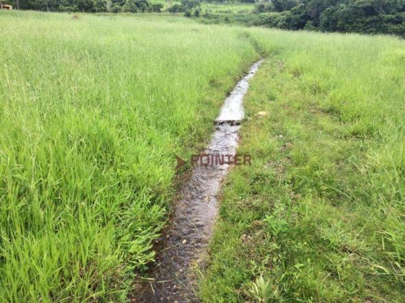 Fazenda com 4 dormitórios à venda, 310 alqueirão cidade de deus - cocalzinho de goiás/go - Foto 18