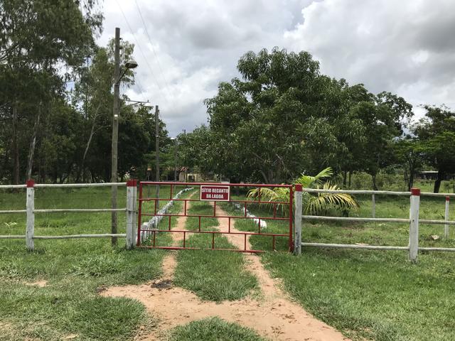 Sítio - Recanto da Lagoa - MG - Foto 12