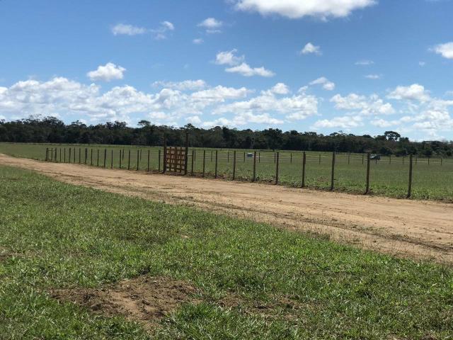 Chácaras palmeira - 2.000 m2 - entrega imediata - parcelas a partir de r$197,33 fixas - Foto 5
