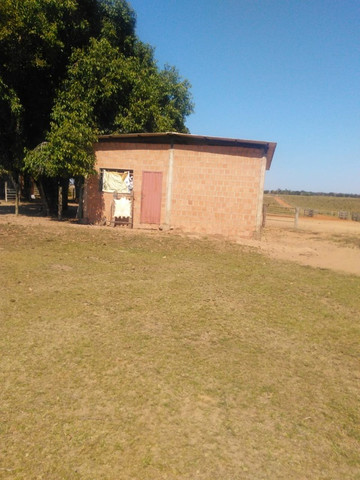 Linda Fazenda com 206 Hectares Campo Grande - Foto 8