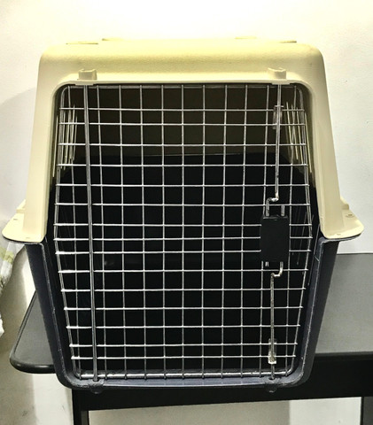 Caixa de transporte para cães