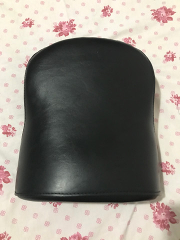 Banco Garupa IRON 883 até ano 2015